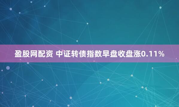 盈股网配资 中证转债指数早盘收盘涨0.11%