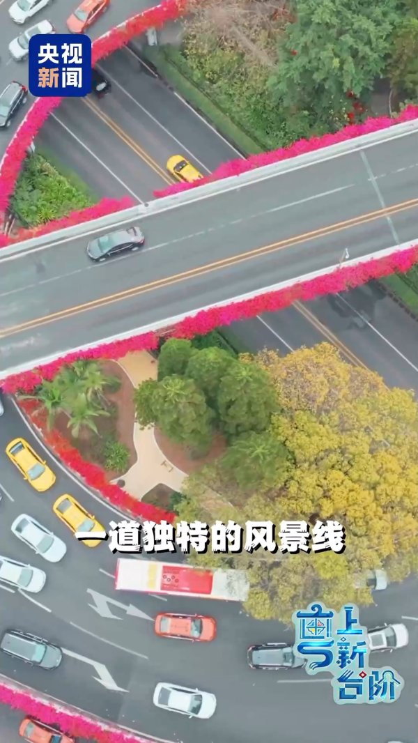 易倍策略 “粤”上新台阶丨春天花会开 但什么花能开一年四季？