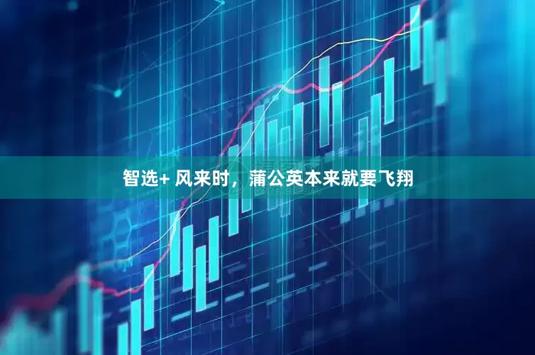 智选+ 风来时，蒲公英本来就要飞翔