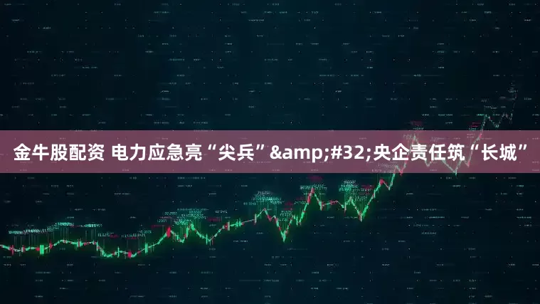 金牛股配资 电力应急亮“尖兵”&#32;央企责任筑“长城”