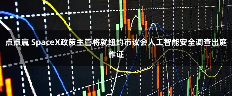 点点赢 SpaceX政策主管将就纽约市议会人工智能安全调查出庭作证
